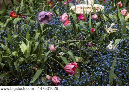 Tulip Gardens At Crystal Hermitage, Which Is Part Of The Ananda Community Located About 15 Miles Nor
