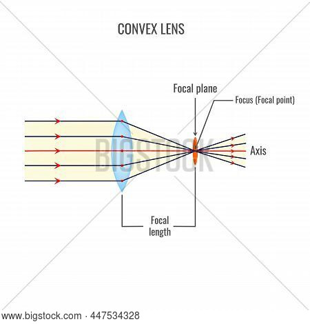 Convex And Concave Lens Vector Illustration Diagrams. Labeled Scheme With Light Ray Direction And Be