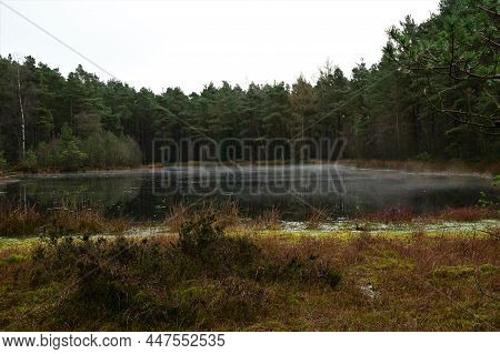 A View Across Bordie Loch In Devilla Forest On A Damp Winters Morning Near Kincardine In Fife, Scotl