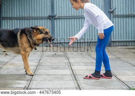 The Child Gives The Dog A Hand. Selective Focus.