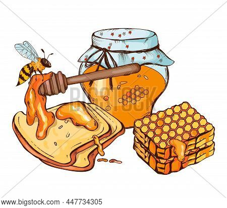 Jar With Honey And Honeycombs, Bee And Pieces Of Bread, Hand Drawn Sketch Style Vector Illustration 