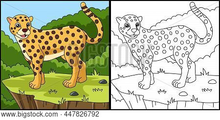This Coloring Page Shows A Cheetah. One Side Of This Vector Illustration Is Colored And Serves As An