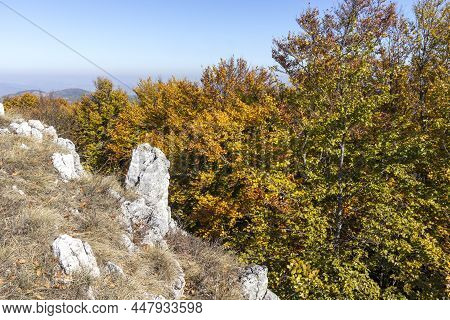 Amazing Autumn Landscape Of Erul Mountain Near Golemi Peak, Pernik Region, Bulgaria