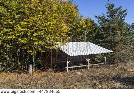 Amazing Autumn Landscape Of Erul Mountain Near Golemi Peak, Pernik Region, Bulgaria