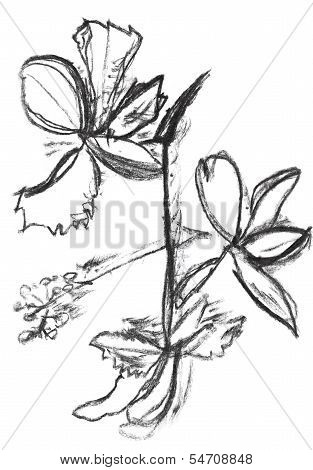 Children Drawing - Blueflag Flower