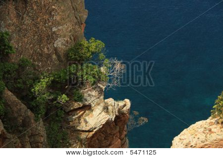 Cliff On The Sea