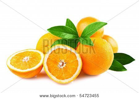 oranges fruits isolated on white