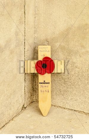 Tyne Cot Cemetery Poppy Flanders Fields World War One