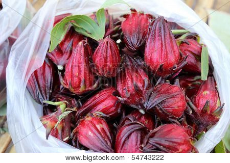 Roselle