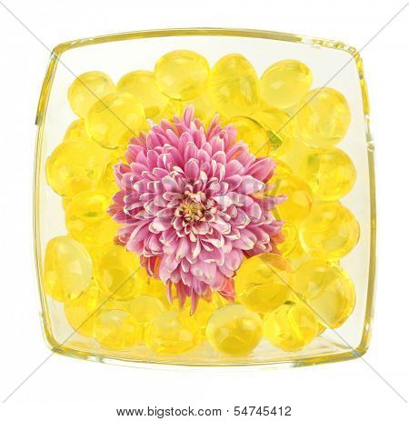 Beautiful flower in vase with hydrogel isolated on white