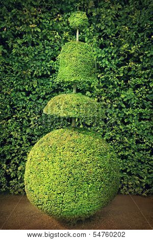 Topiary