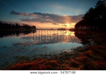 Gold Sunrise Over Lake In Forest
