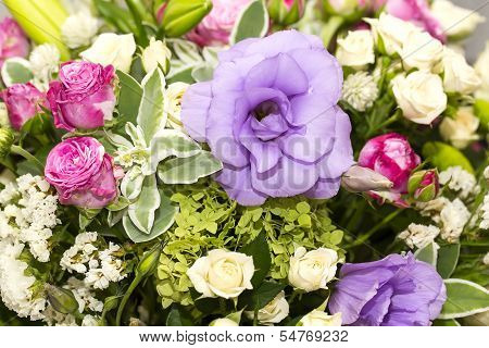 background of flowers