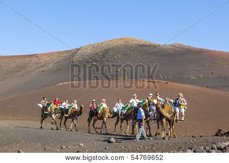 Tourists Ride On Camels Being Guided By Local People