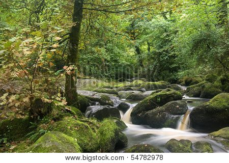 Landscape Of Becky Falls Waterfall In Dartmoor National Park England