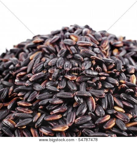 Pile of Brown Rice Close up Macro Isolated on White Background 