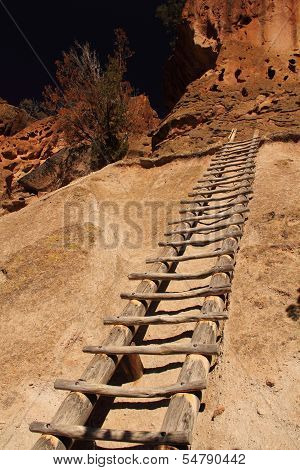Tall Ladder