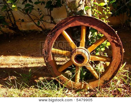 Roda de madeira