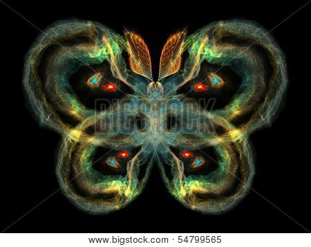 Colorful Butterfly