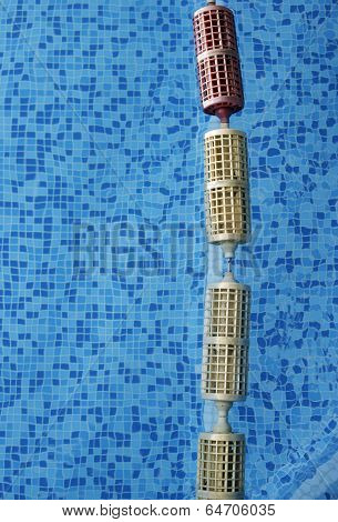 Swimming Pool And Hall