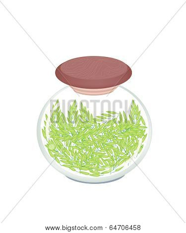 A Jar Of Cereal Plant Of Green Rice