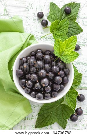 Blackcurrant
