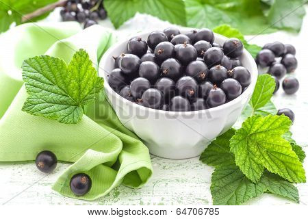 Blackcurrant