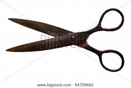 Scissors