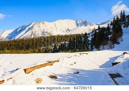 Hala Gasienicowa, Winter Landscape, High Tatra Mountains