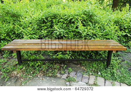 Bench In Park