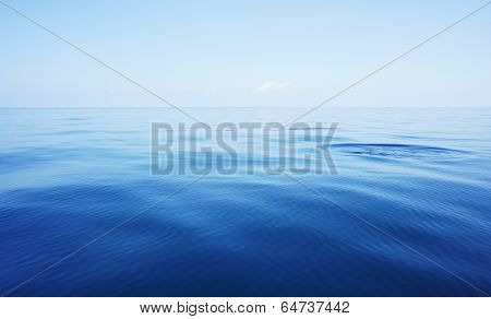 into the blue