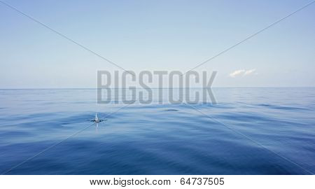 into the blue