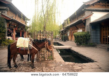 Horse Waiting Tourists In Shuhe Ancient Town.