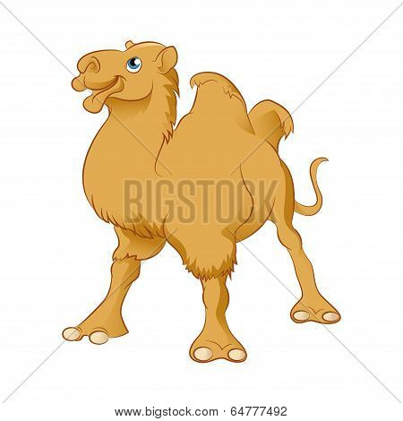 Cartoon Camel