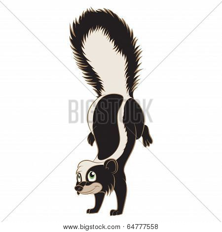 Cartoon Skunk