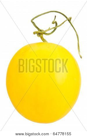 Yellow Melon