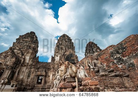 Lopburi Thailand. Monkey ( Crab-eating or Long-tailed macaque ) in Prang Sam Yot temple. Khmer ancient Buddhist pagoda ruins are famous thai tourist travel destination. 