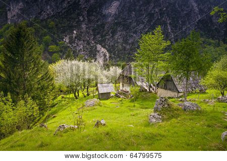 Village