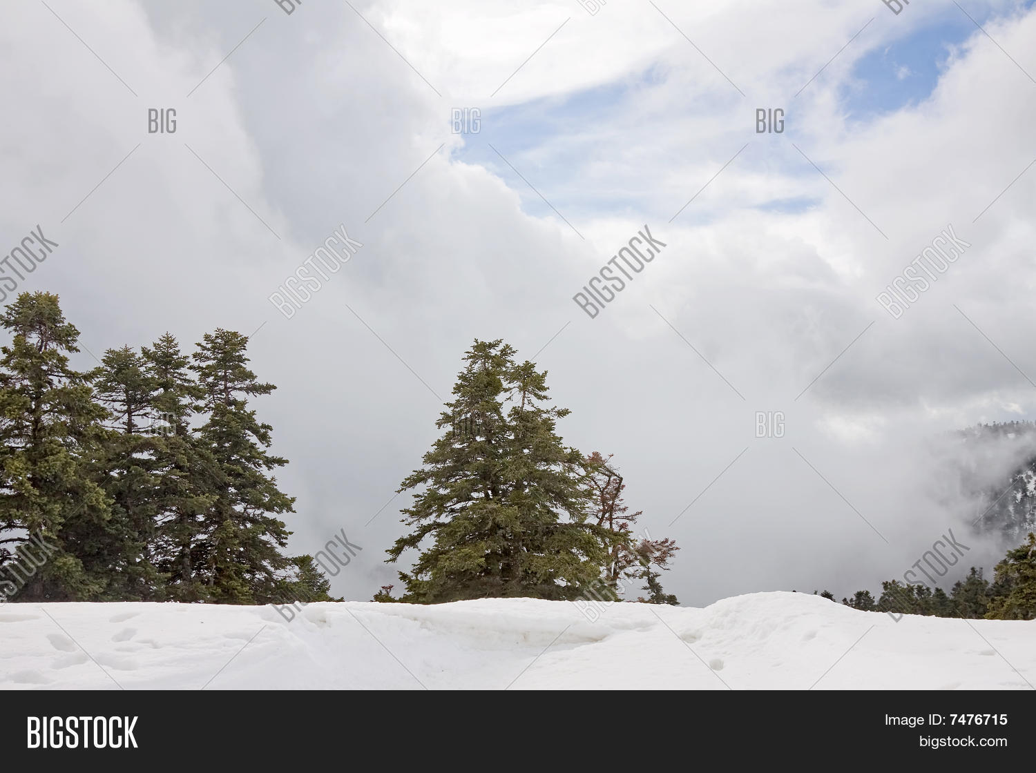 Image Preview
