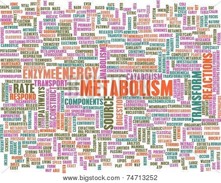 Metabolism as a Medical Health Exercise Concept