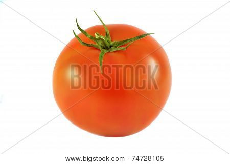 Juicy Isolated Tomato