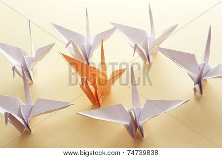 Individuality concept. Origami birds on light background