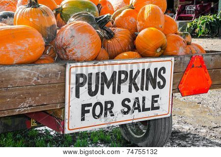 Pumpkins For Sale