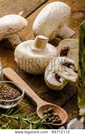 Bio Garlic, Spices And Wild Mushrooms From The Home Garden