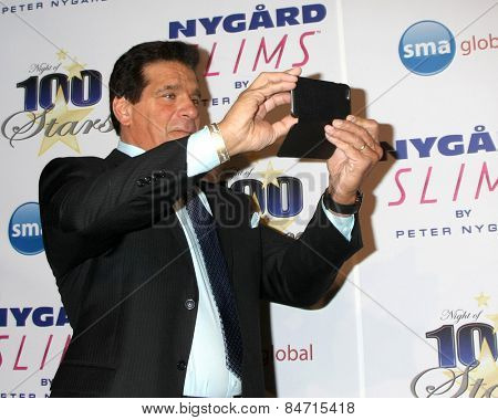 LOS ANGELES - FEB 22:  Lou Ferrigno at the Night of 100 Stars Oscar Viewing Party at the Beverly Hilton Hotel on February 22, 2015 in Beverly Hills, CA