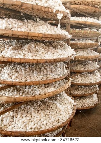 Baskets with silkworm cocoons at a silk factory