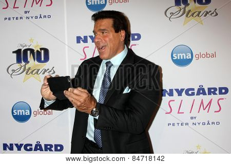 LOS ANGELES - FEB 22:  Lou Ferrigno at the Night of 100 Stars Oscar Viewing Party at the Beverly Hilton Hotel on February 22, 2015 in Beverly Hills, CA