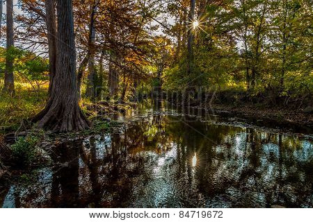 Fall Foliage on Cibolo Creek, Texas.