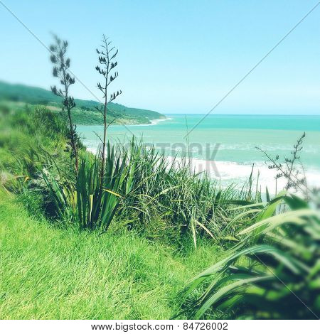 Shoreline and water, Raglan, New Zealand