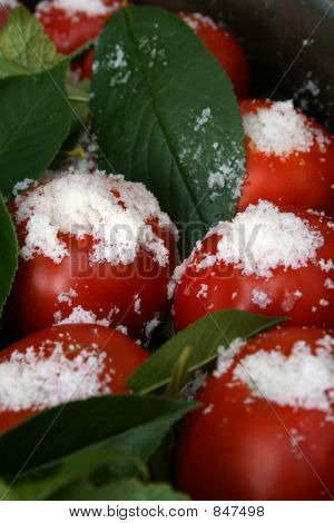 tomates con hojas de cerezos y macro sal vertical
